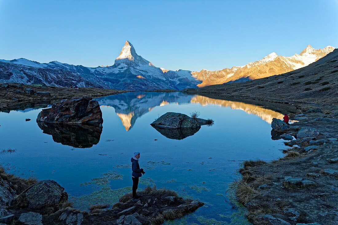 Switzerland, canton of Valais, Zermatt, the Matterhorn (4478m), Dent Blanche, Obergabelhorn and Wellenkuppe peaks from Lake Stellisee