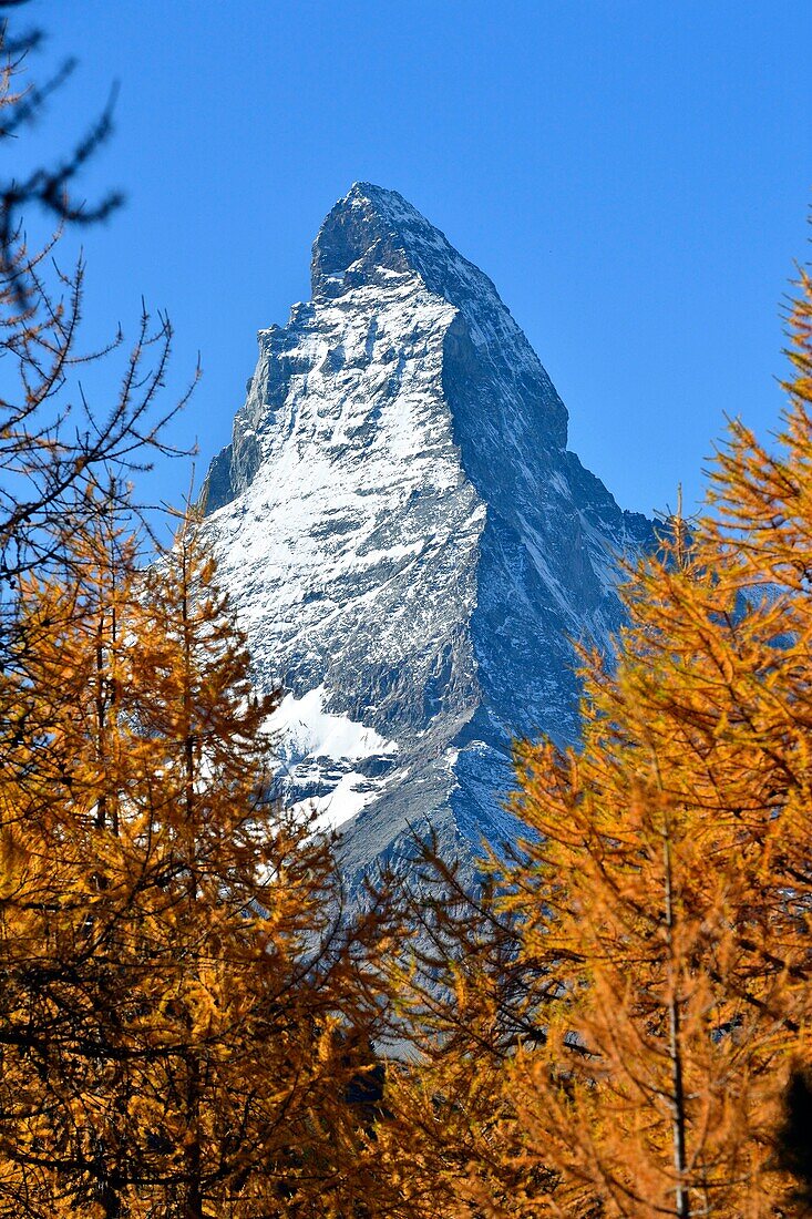 Schweiz, Kanton Wallis, Zermatt, das Matterhorn (4478m)