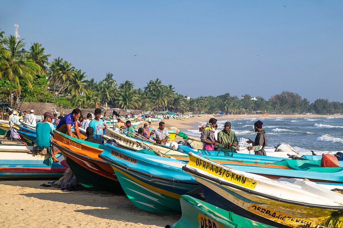 Sri Lanka, Ostprovinz, Pottuvil, Arugam Bucht, zurück vom Fischen