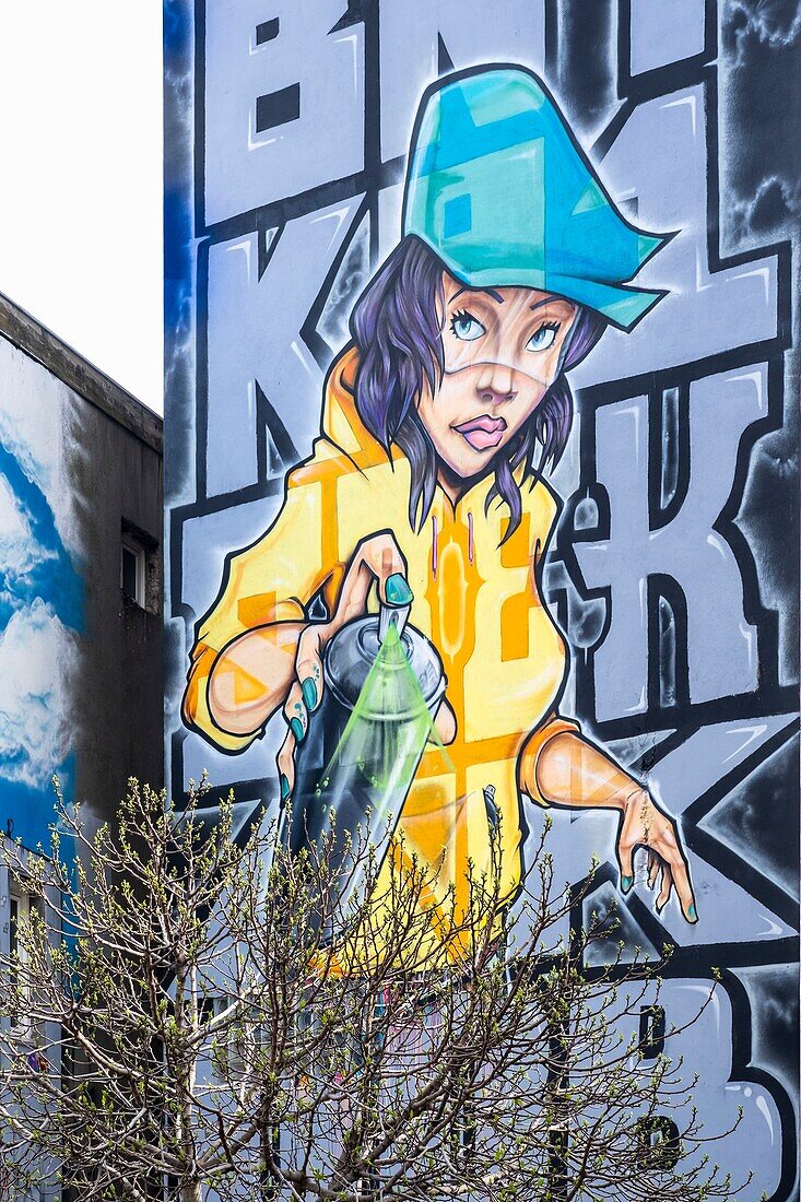 France, Isere, Grenoble, Lieutenant de Quinsonas street, fresco by the artists Srek et Killah One during the Grenoble Street-Art Fest 2018