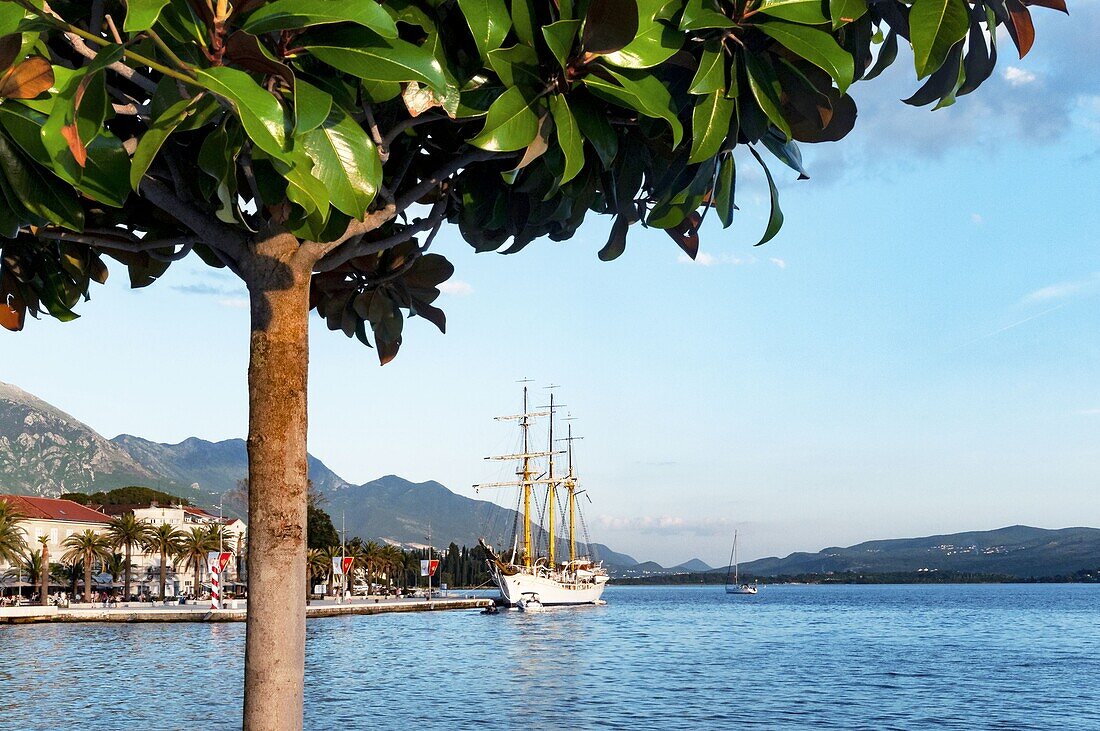 Montenegro, Kotor region, town and coast of Tivat, marina