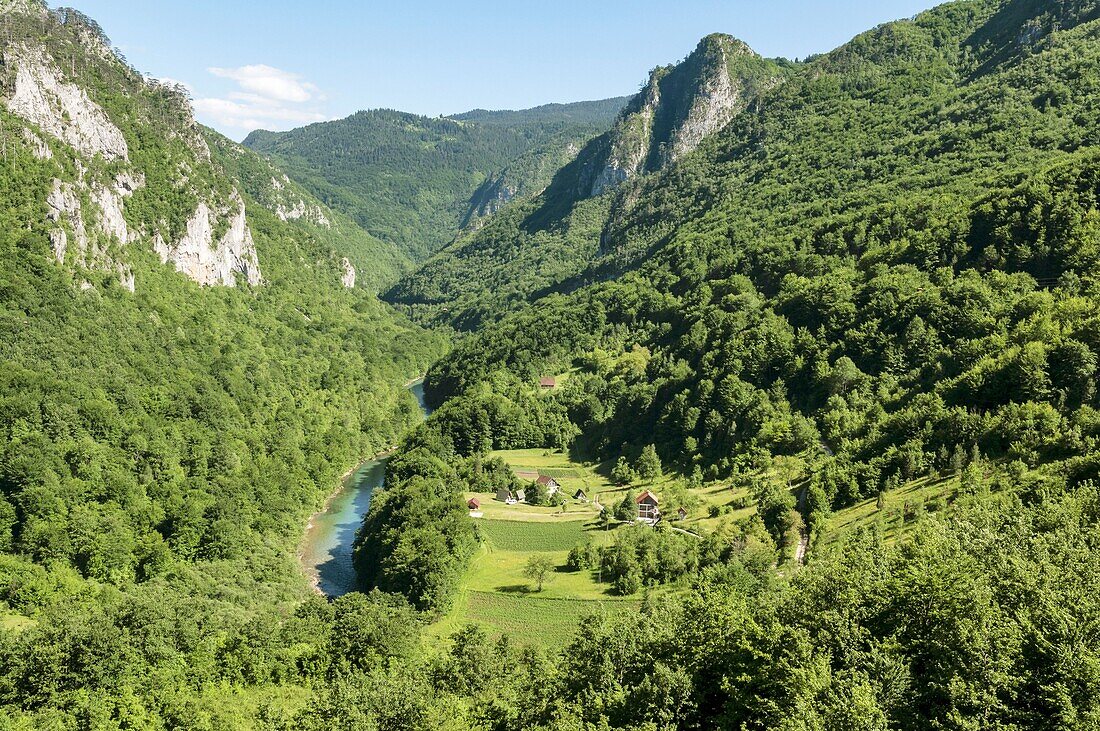 Montenegro, Region Durmitor, Tara-Schlucht von der Durdevika-Brücke aus