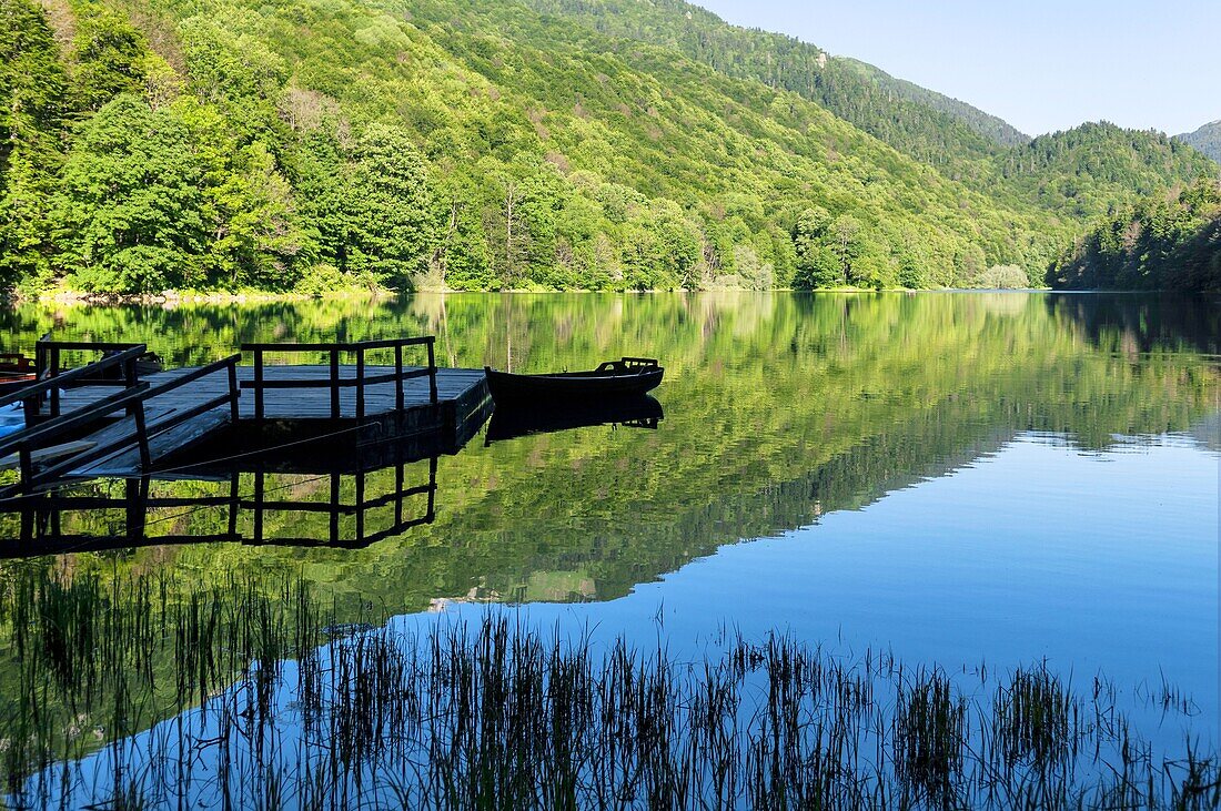 Montenegro, Kolasin region, national park of Biogradska, ice lake of Biogradska Gora