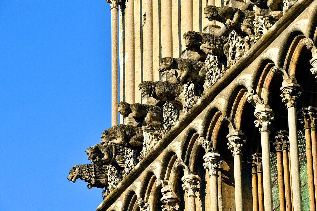 Frankreich, Cote d'Or, Dijon, von der UNESCO zum Weltkulturerbe erklärtes Gebiet, Kirche Notre Dame, Wasserspeier