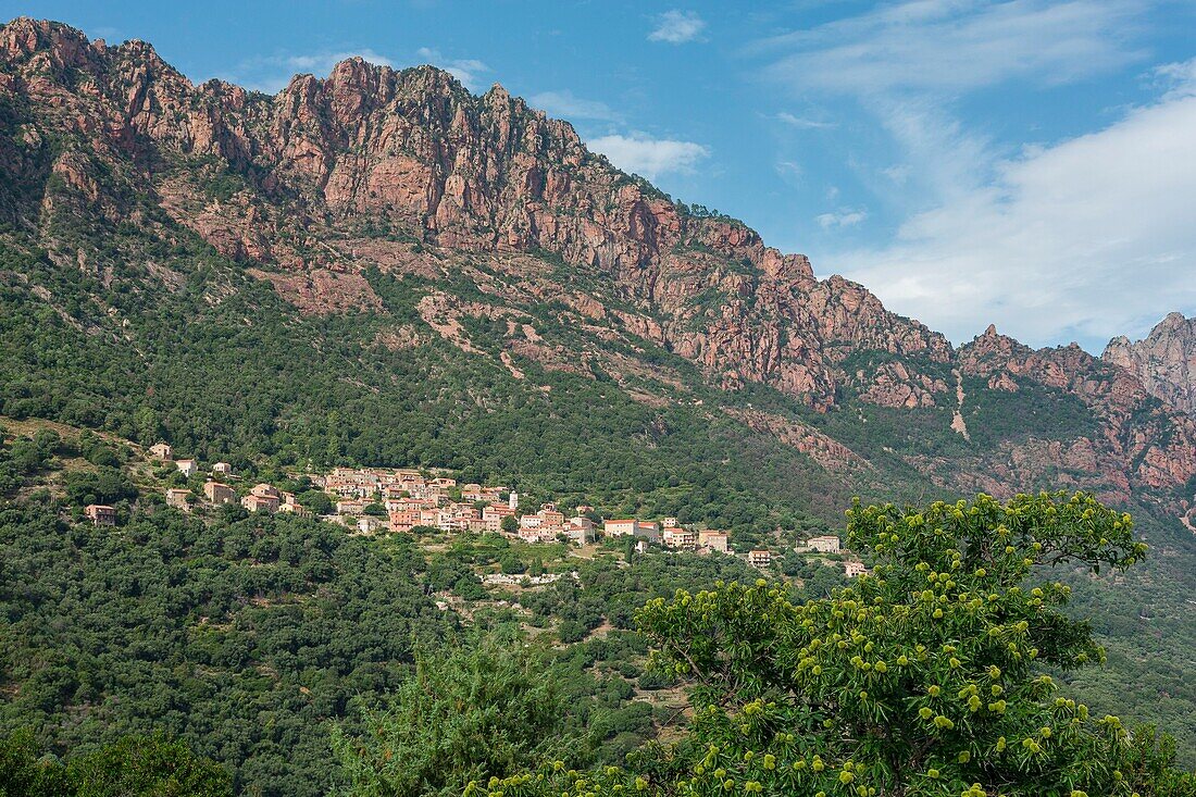 France, Corse du Sud, the village of Ota, step on the Tra Mare e Monti hiking trail