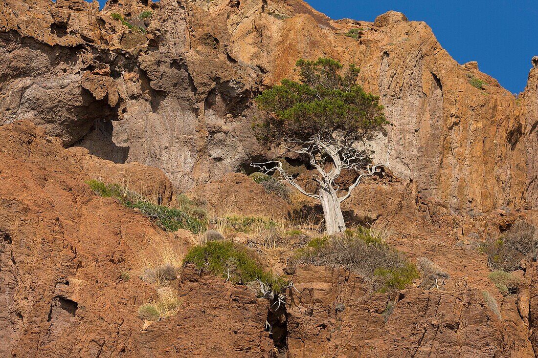 Frankreich, Corse du Sud, Golf von Porto, von der UNESCO zum Weltkulturerbe erklärt, Naturschutzgebiet Scandola