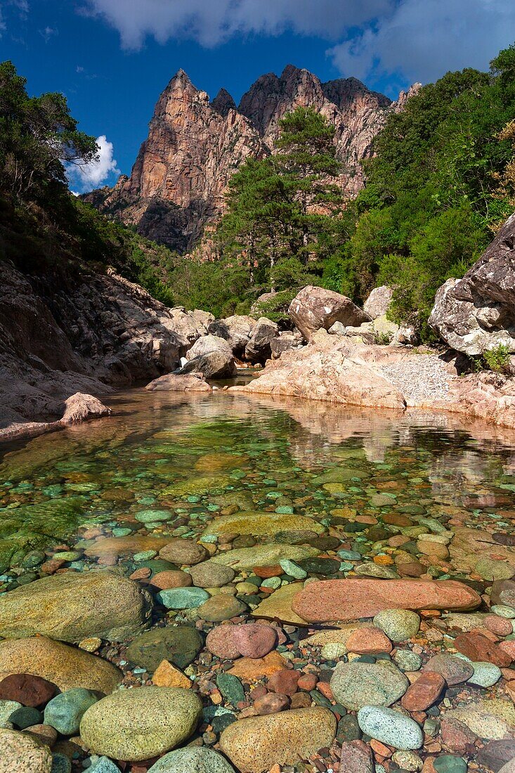 France, Corse du Sud, Spelunca Gorge near Porto