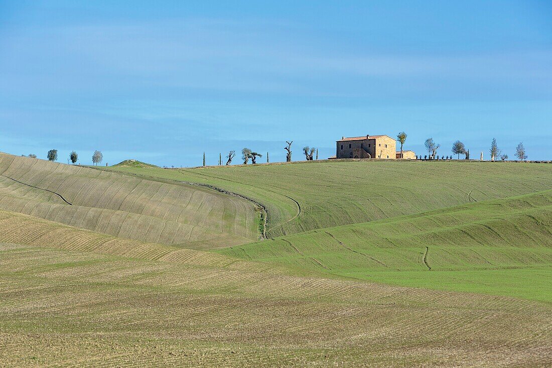 Italy, Tuscany, Val d'Orcia listed as World Heritage by UNESCO, Pienza, farm