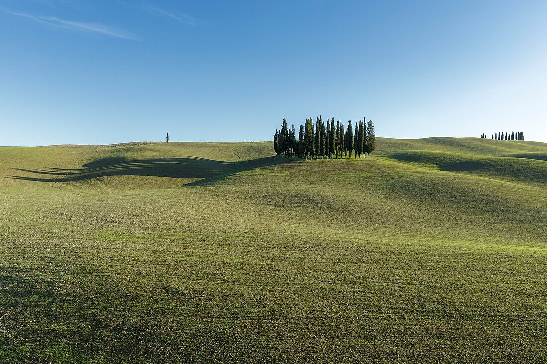 Italien, Toskana, Val d'Orcia von der UNESCO zum Weltkulturerbe erklärt, Landschaft entlang der Via Francigena bei San Quirico d'Orcia an der Stelle, die Cipressi di San Quirico d'Orcia genannt wird