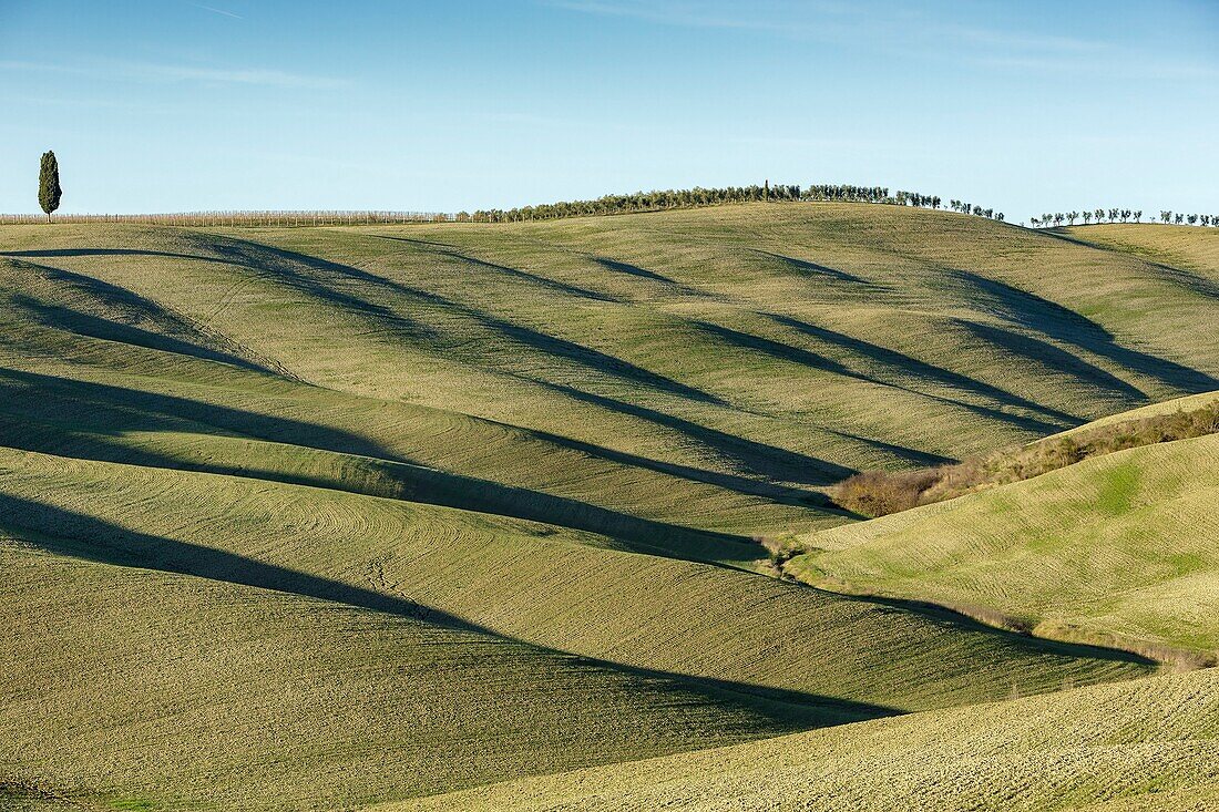 Italien, Toskana, Val d'Orcia von der UNESCO zum Weltkulturerbe erklärt, Landschaft entlang der Via Francigena bei San Quirico d'Orcia an der Stelle, die Cipressi di San Quirico d'Orcia genannt wird