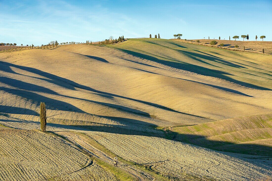 Italien, Toskana, Val d'Orcia von der UNESCO zum Weltkulturerbe erklärt, Landschaft entlang der Via Francigena bei San Quirico d'Orcia an der Stelle, die Cipressi di San Quirico d'Orcia genannt wird