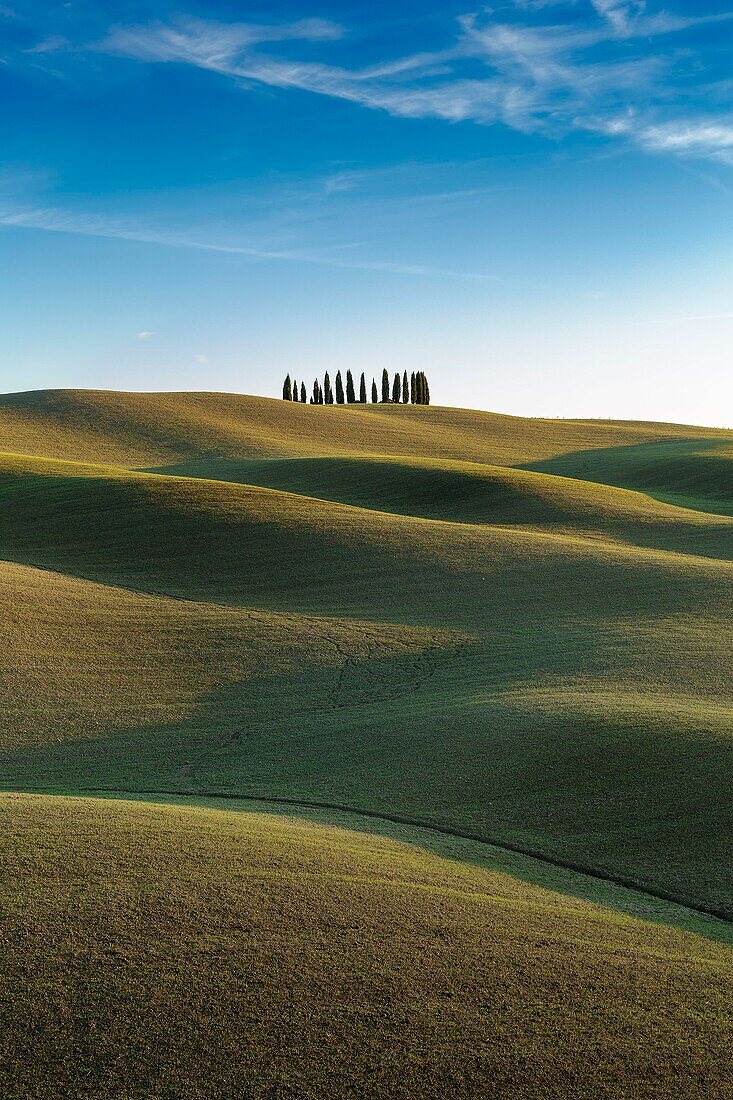 Italien, Toskana, Val d'Orcia von der UNESCO zum Weltkulturerbe erklärt, Landschaft entlang der Via Francigena bei San Quirico d'Orcia an der Stelle, die Cipressi di San Quirico d'Orcia genannt wird