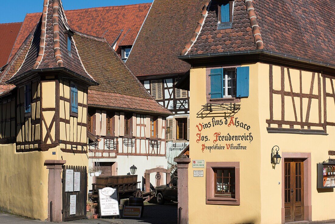 France, Haut Rhin, Eguisheim, labelled Les Plus Beaux Villages de France (The Most beautiful Villages of France), Vine Freudenreich Joseph et Fils