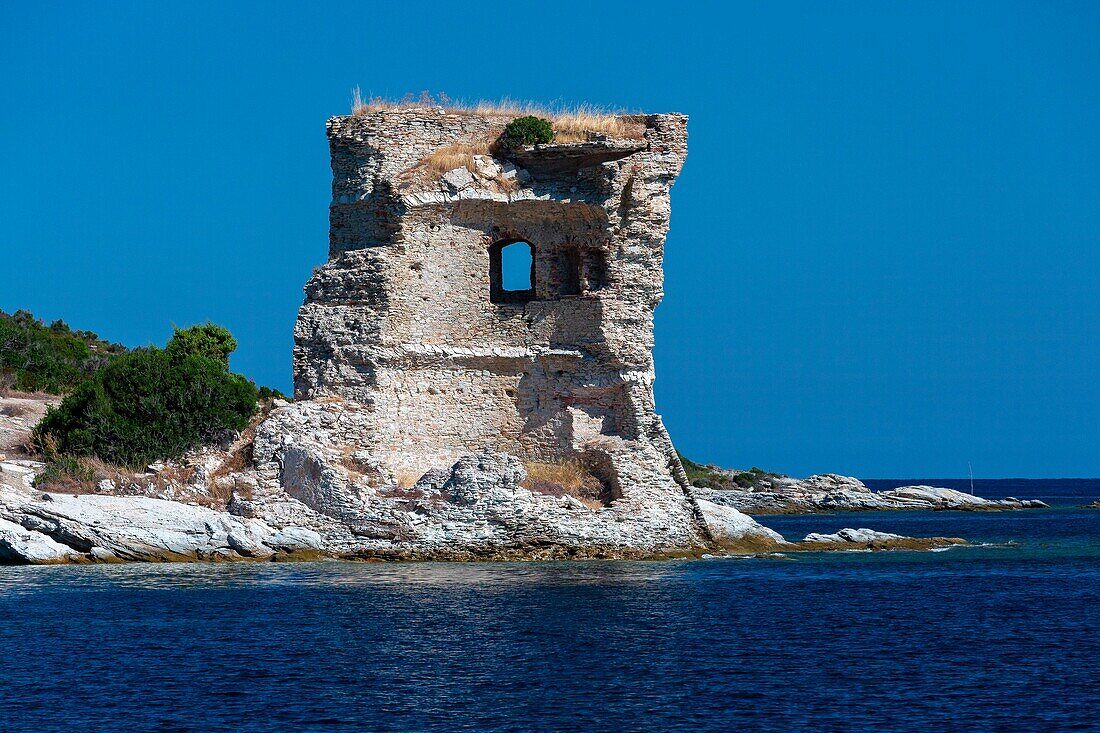 France, Haute Corse, Agriates desert, Gulf of Saint Florent, Mortella tower