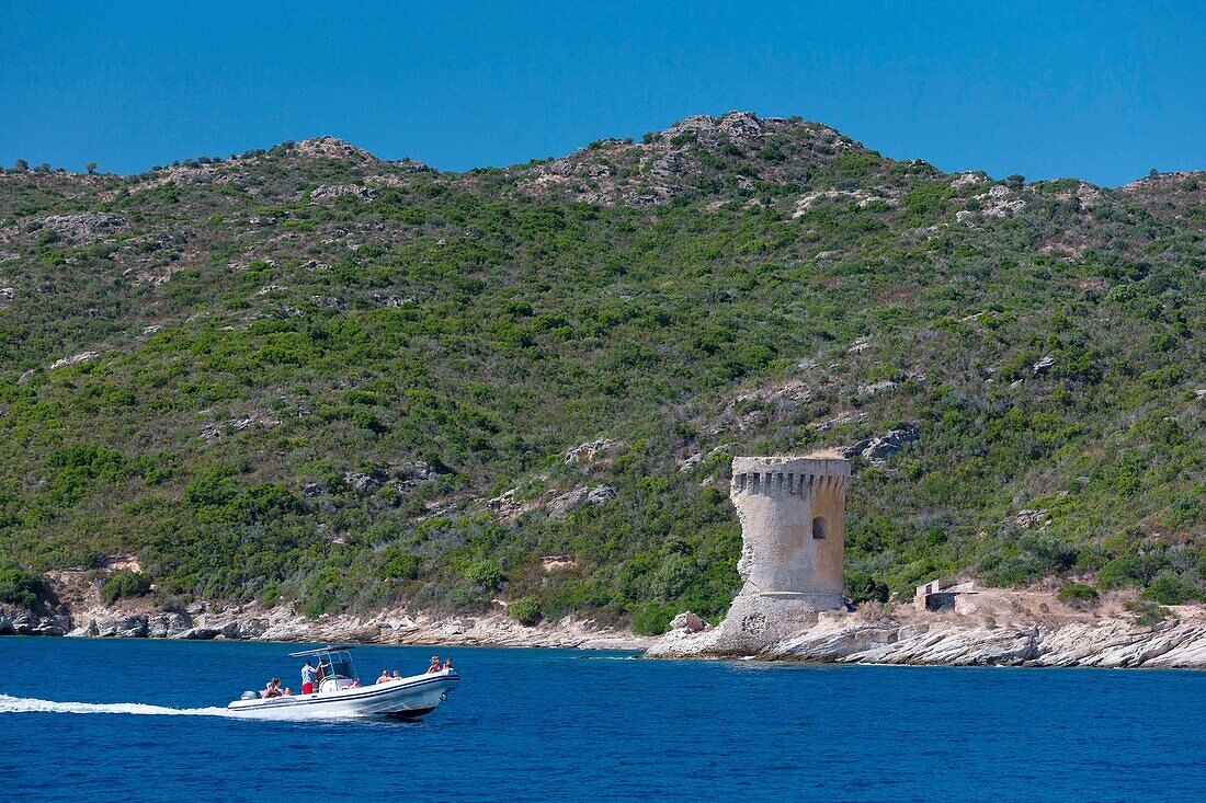 Frankreich, Haute Corse, Wüste Agriates, Golf von Saint Florent, Mortella-Turm