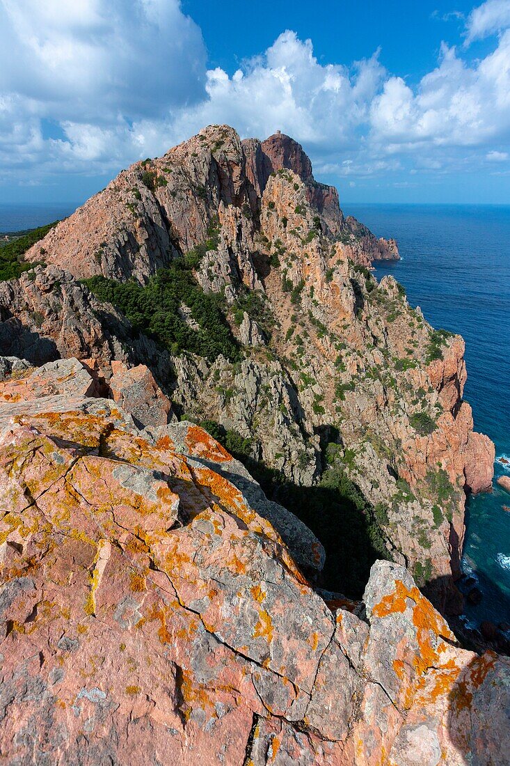 Frankreich, Corse du Sud, Golf von Porto, von der UNESCO zum Weltkulturerbe erklärt, Capo Rosso und der genuesische Turm von Turghiu (Turghio) im Hintergrund