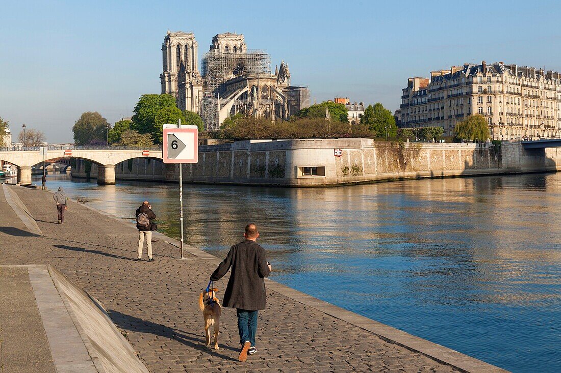 Frankreich, Paris, Kathedrale Notre Dame de Paris, zwei Tage nach dem Brand, 17. April 2019, Quai de la Tournelle