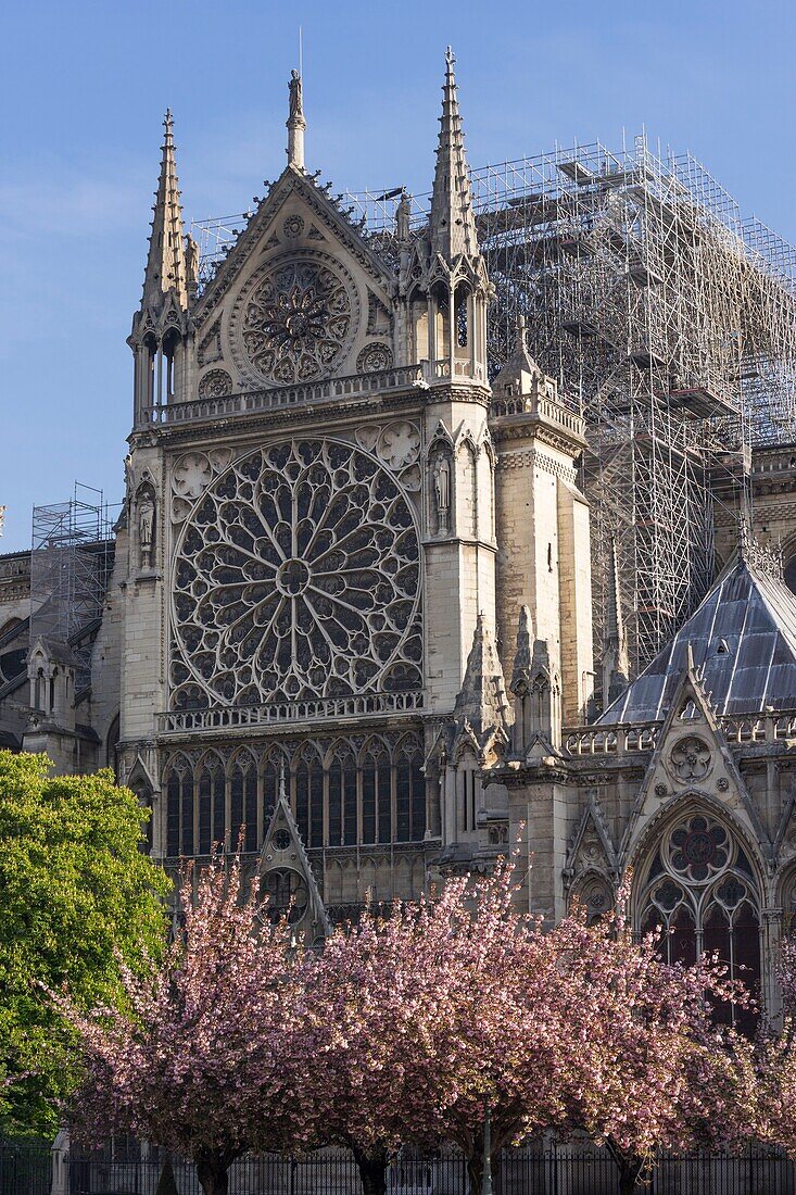 France, Paris, Notre Dame de Paris Cathedral, two days after the fire, April 17, 2019