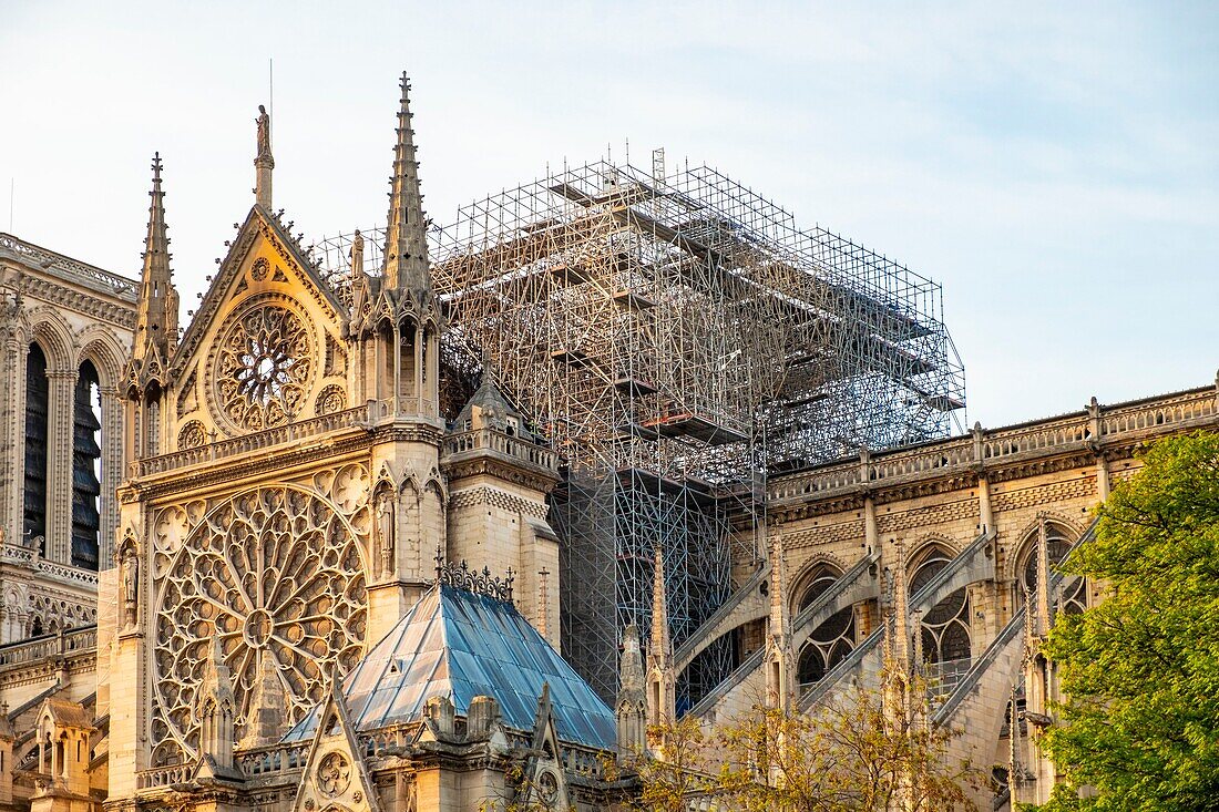 Frankreich, Paris, von der UNESCO zum Weltkulturerbe erklärtes Gebiet, Ile de la Cite, Kathedrale Notre Dame nach dem Brand vom 15. April 2019