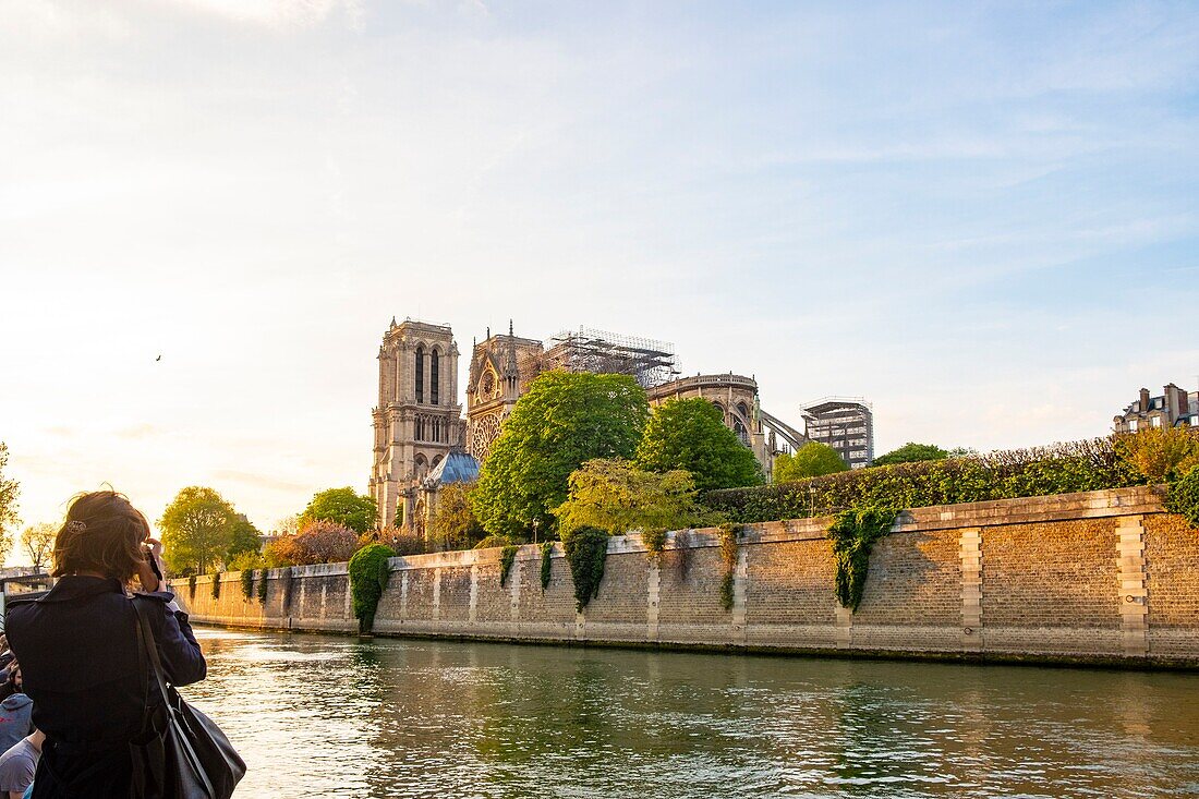 Frankreich, Paris, von der UNESCO zum Weltkulturerbe erklärtes Gebiet, Ile de la Cite, Kathedrale Notre Dame nach dem Brand vom 15. April 2019