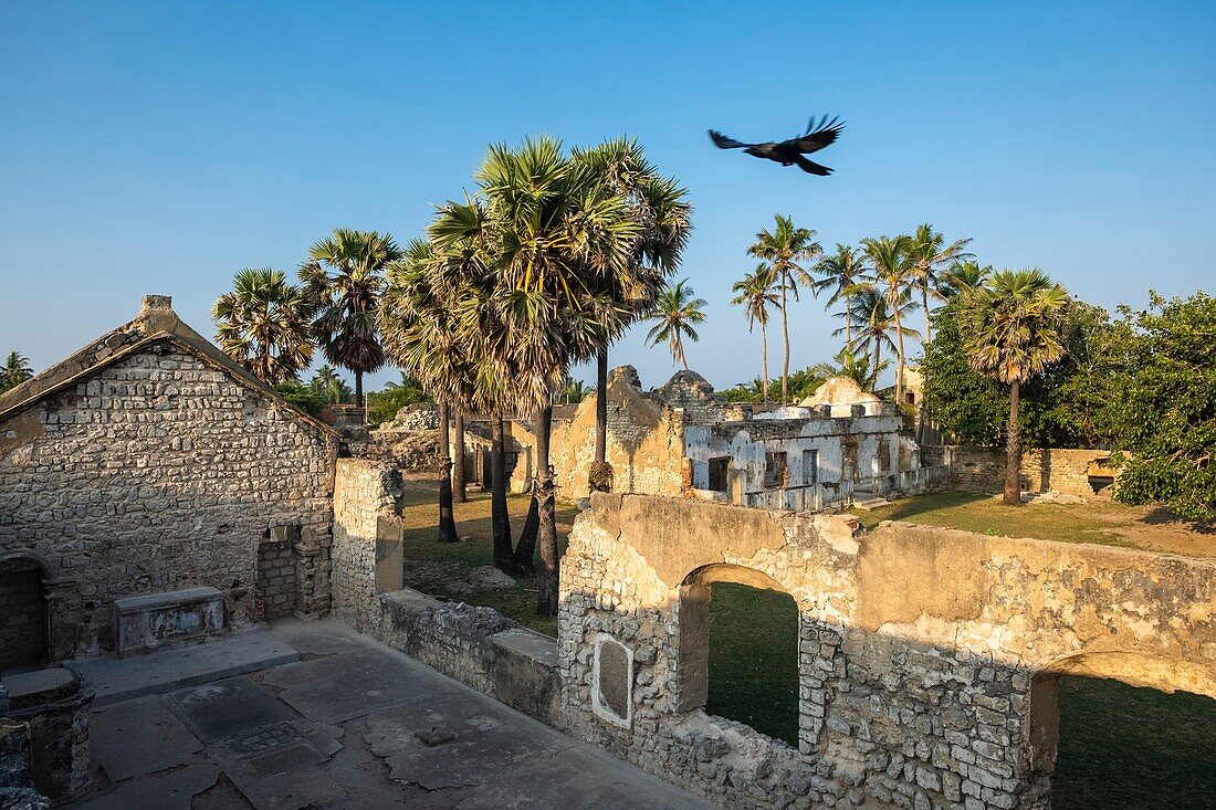 Sri Lanka, Northern province, Mannar island, Mannar city, Mannar Fort or Dutch fort, built the Portuguese, occupied by the Dutch and the Bristish