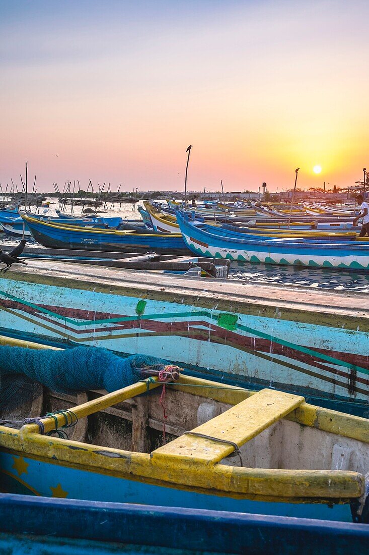 Sri Lanka, Nordprovinz, Insel Mannar, Mannar Stadt, der Fischereihafen