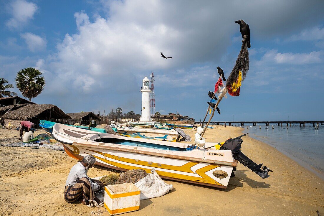 Sri Lanka, Northern province, Mannar island, Thalaimannar village, the beach and lighthouse