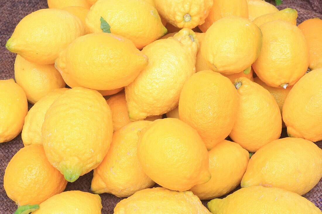 Italy, Basilicata, Matera, European Capital of Culture 2019, Piazza Marconi, market, local lemons