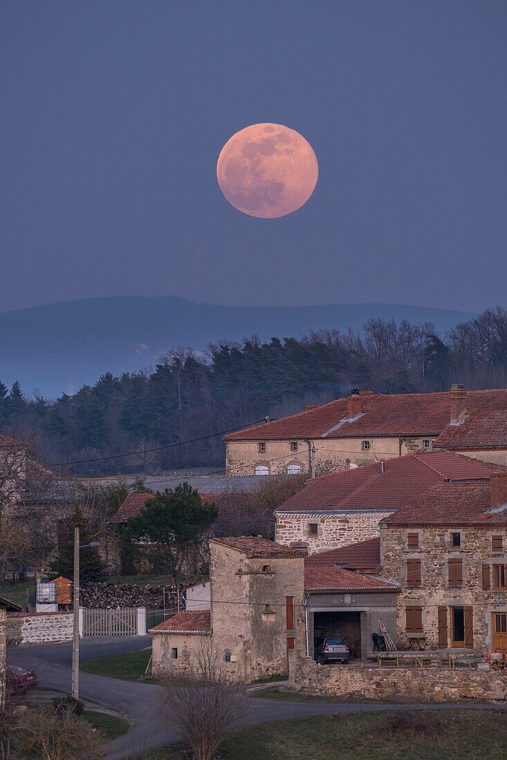 Frankreich, Puy de Dome, Egliseneuve pres Billom, Weiler von Les Pierrys bei Vollmond, Regionalpark Livradois Forez