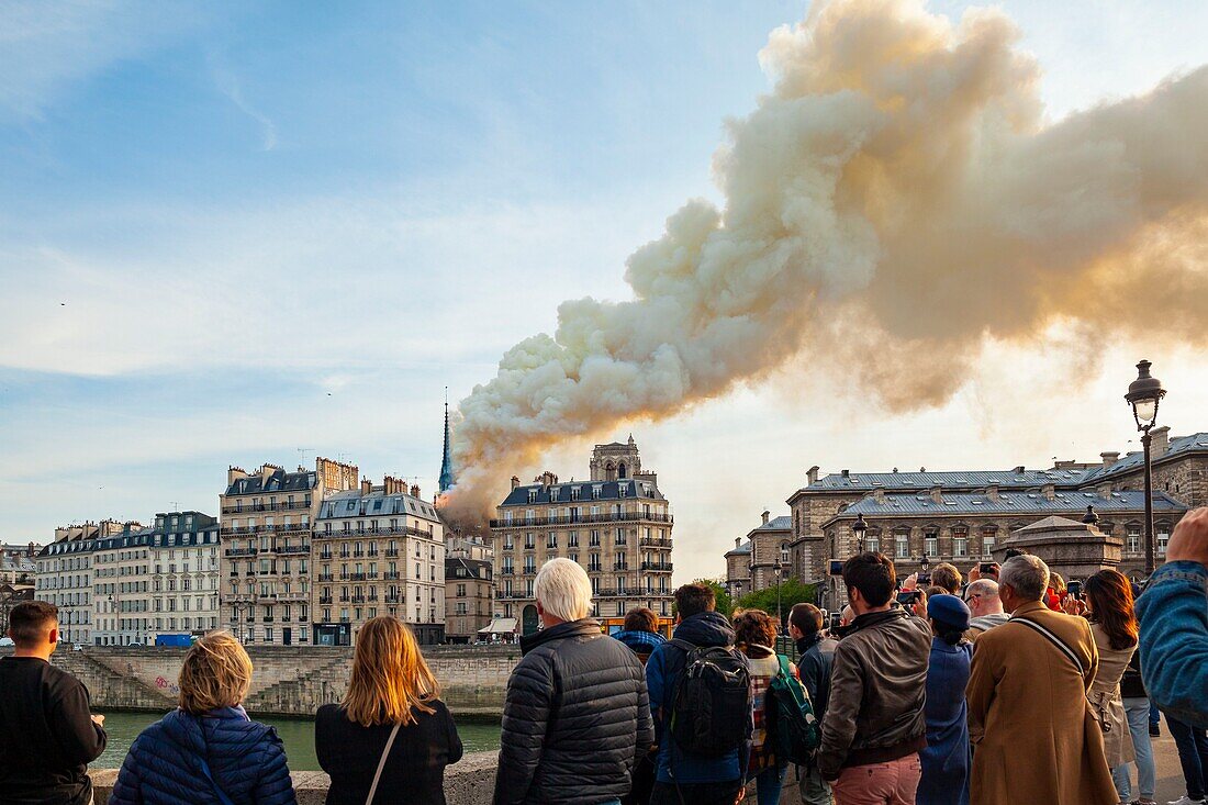 Frankreich, Paris, Gebiet, das zum UNESCO-Welterbe gehört, Kathedrale Notre-Dame de Paris, Feuer, das die Kathedrale am 15. April 2019 verwüstet hat