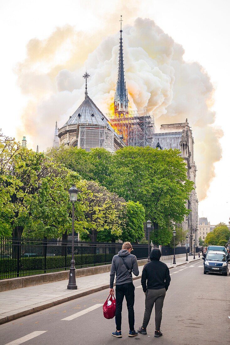 Frankreich, Paris, Gebiet, das zum UNESCO-Welterbe gehört, Kathedrale Notre-Dame de Paris, Feuer, das die Kathedrale am 15. April 2019 verwüstet hat