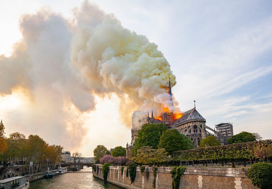 Frankreich, Paris, Gebiet, das zum UNESCO-Welterbe gehört, Kathedrale Notre-Dame de Paris, Feuer, das die Kathedrale am 15. April 2019 verwüstet hat