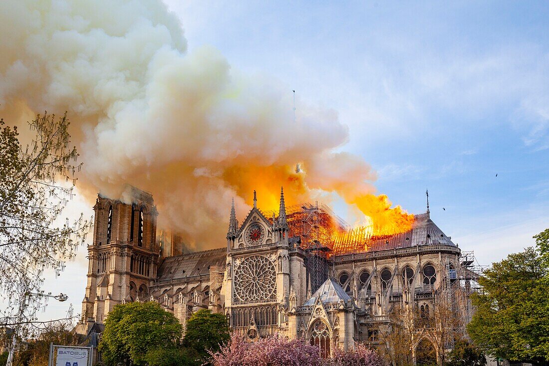 Frankreich, Paris, UNESCO-Welterbegebiet, Ile de la Cite, Kathedrale Notre Dame de Paris, Brand, der die Kathedrale am 15. April 2019 verwüstet hat