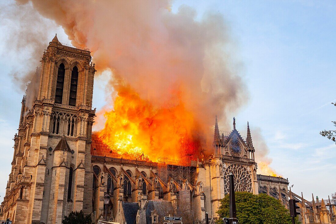 Frankreich, Paris, UNESCO-Welterbegebiet, Ile de la Cite, Kathedrale Notre Dame de Paris, Brand, der die Kathedrale am 15. April 2019 verwüstet hat