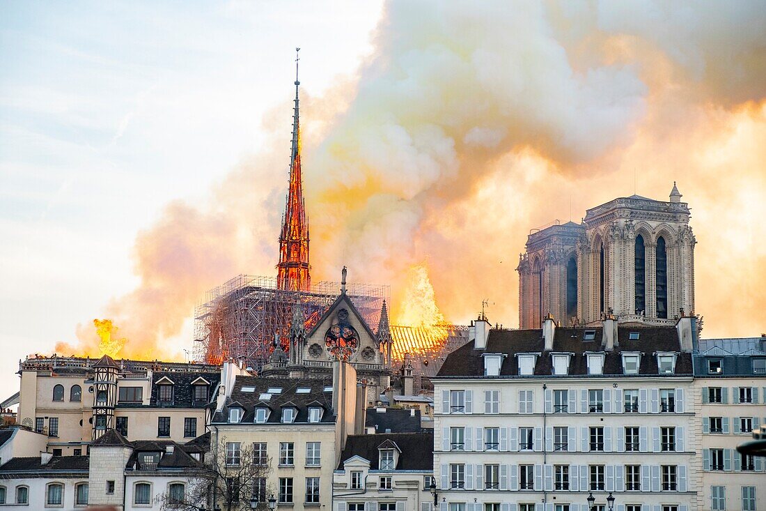 Frankreich, Paris, UNESCO-Welterbe, Ile de la Cite, Kathedrale Notre-Dame, das große Feuer, das die Kathedrale am 15. April 2019 zerstörte