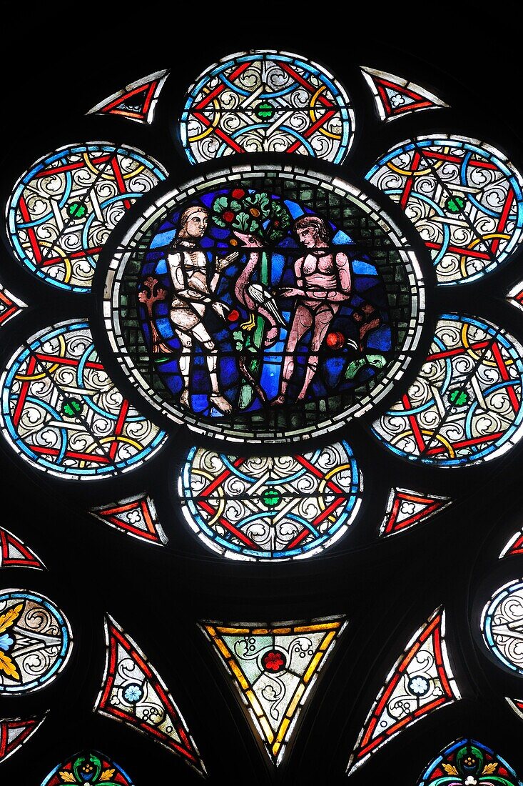 France, Paris, area listed as World Heritage by UNESCO, Ile de la Cite, Notre Dame Cathedral, stained glass of the 13th century Adam and Eve