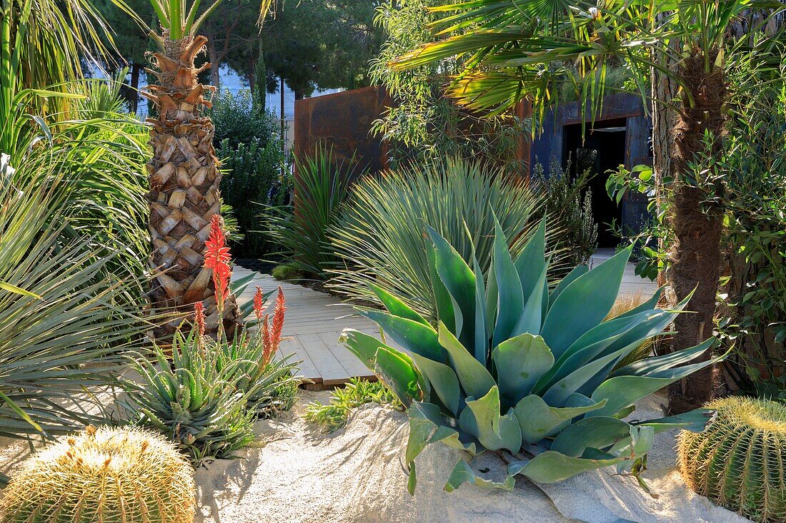 France, Alpes Maritimes, Antibes Juan les Pins, Garden Festival of the French Riviera 2019, Garden From one bank to another Passion Garden by Jeremie Boissiere, Cedric Eygrier, Lawrence Buron, Lucas Michel, Alan Bontoux Calot and Sylvere Fournier