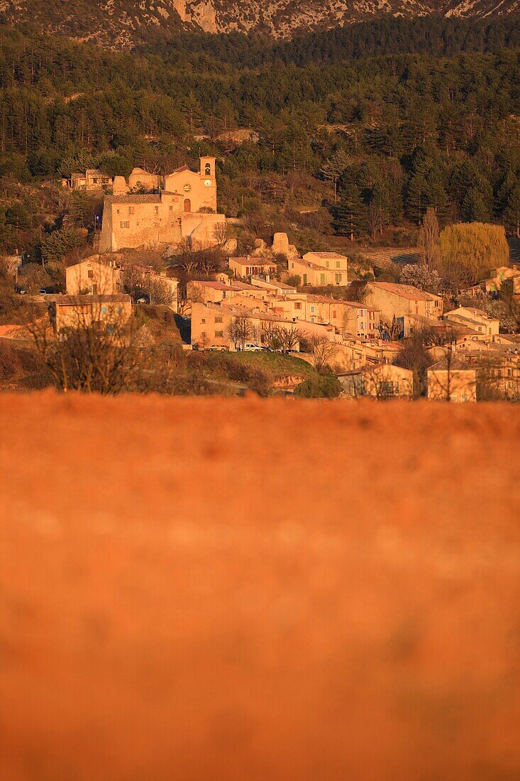 France, Alpes de Haute Provence, Verdon Regional Nature Park, Valensole plateau, Saint Jurs