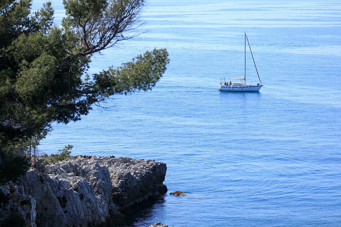 France, Alpes Maritimes, Antibes, Cap d'Antibes, coastal path