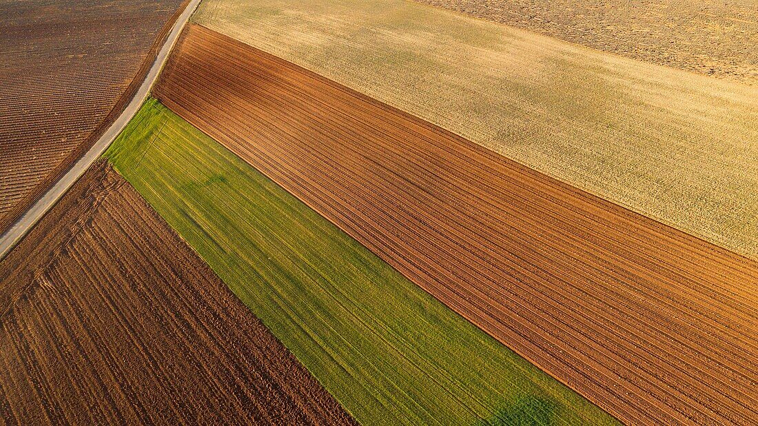 France, Alpes de Haute Provence, Verdon Regional Nature Park, Valensole Plateau, Valensole (aerial view)