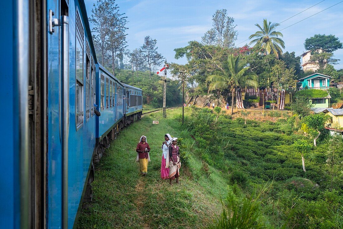 Sri Lanka, Uva province, the train line that connects Badulla to Kandy crossing mountain regions and tea plantations