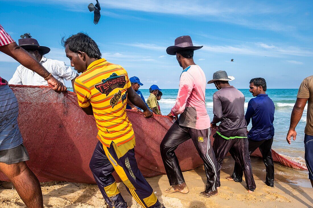 Sri Lanka, Eastern province, Kalkudah, fishermen pulling up their net on Kalkudah beach