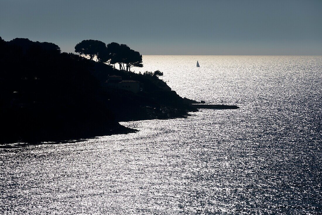 France, Var, Sanary sur Mer, tip of the Tourette, Bay of Bandol