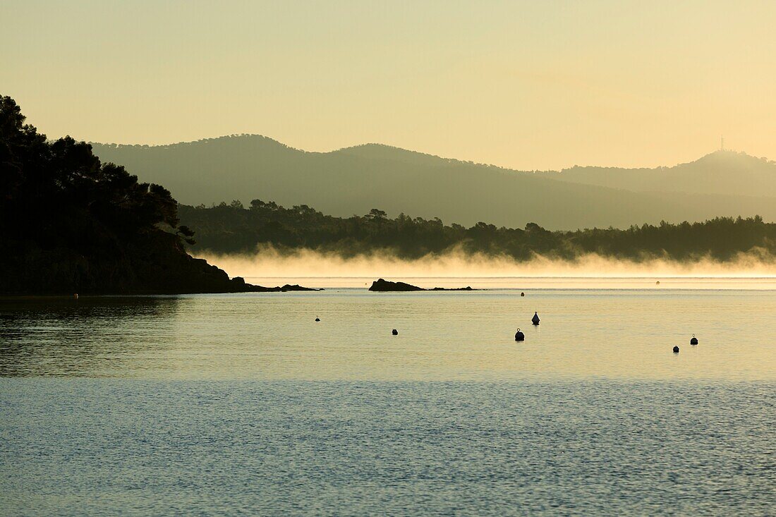 France, Var, La Londe Les Maures, Argentiere point and Pellegrin beach in the background