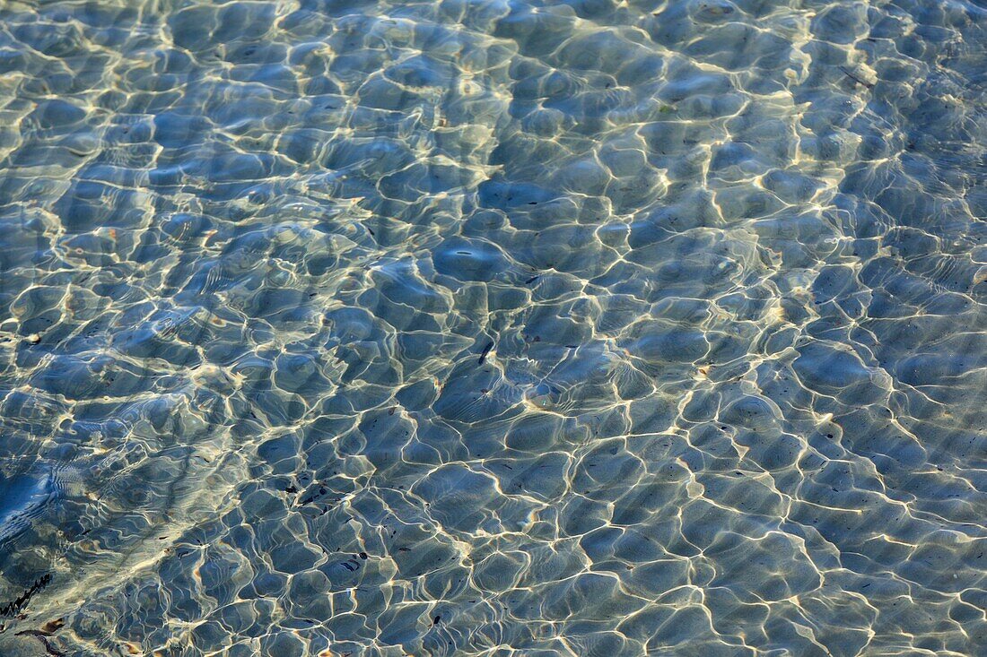 France, Var, Bormes les Mimosas, Bregancon Beach, Cabasson Bay