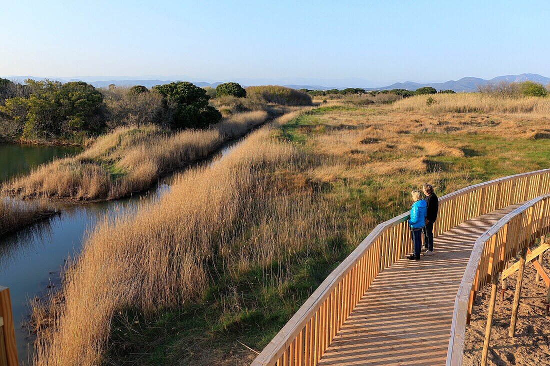 France, Var, Frejus, district of Saint Aygulf, Conservatoire du Littoral, protected natural area, wetland of Etangs de Villepey, road on stilts