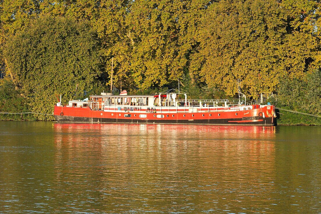 Frankreich, Vaucluse, Avignon, Insel La Barthelasse, Lastkahn auf der Rhone