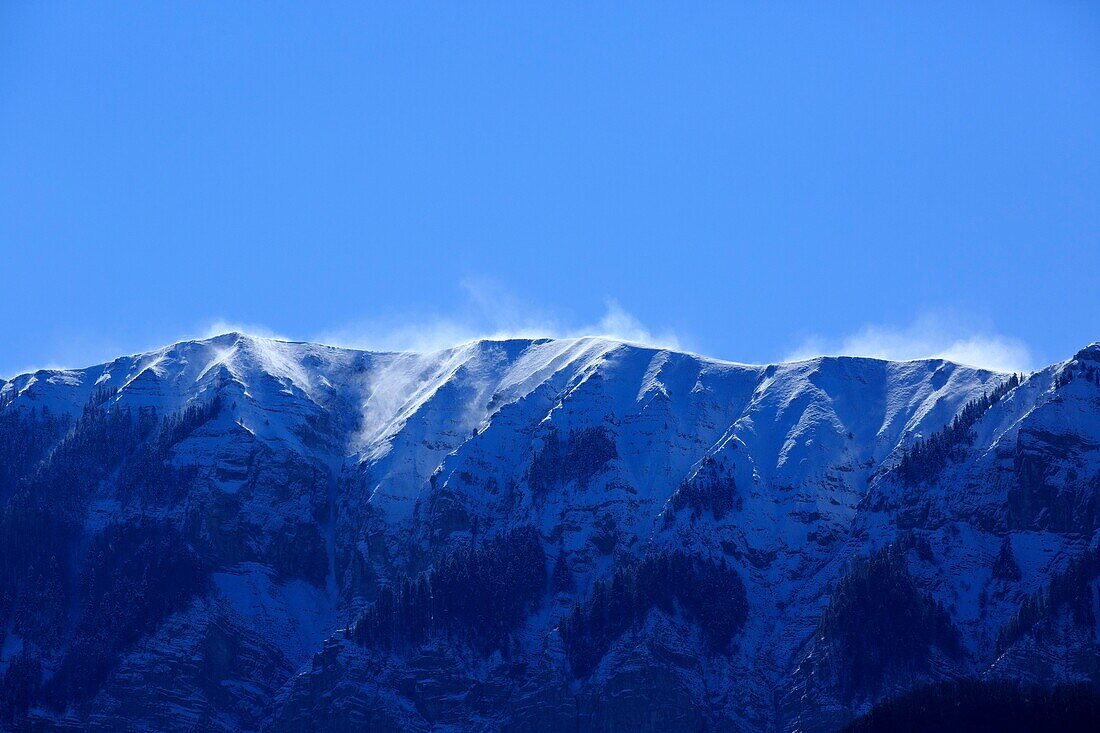 France, Alpes de Haute Provence, Montagne de Lure