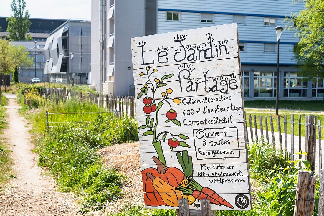 France, Rhone, Villeurbanne, La Doua campus, Le Doua Vert shared garden