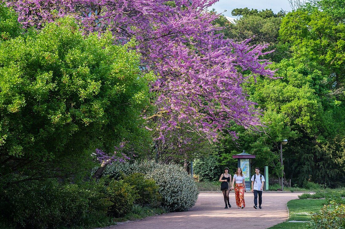 Frankreich, Rhône, Lyon, 6. Arrondissement, Parc de la Tête d'Or (Park des Goldenen Kopfes)